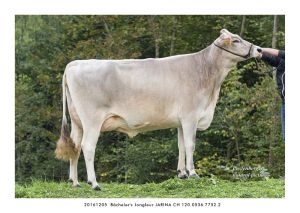 20161205  Bchelers Jongleur JARINA CH 120.0536.7752.2 13x18